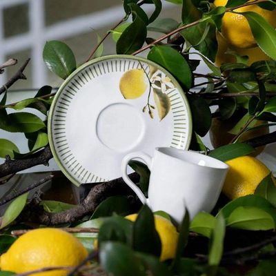Conjunto De Xícara De Cafezinho Com Pires 06 Peças Bio Lemon Porto Brasil