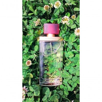 Perfume Feminino Ardenbeauty Edp 100 Ml