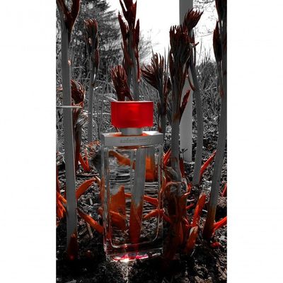 Perfume Feminino Ardenbeauty Edp 100 Ml