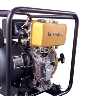 Motobomba Diesel 2'' Paraquímicos 7cv 306cc P Manual Buffalo