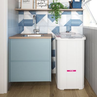 Lavadora de Roupa Semiautomática Tanquinho Sem Dreno Inverter 16kg Práxis Branco / 110v
