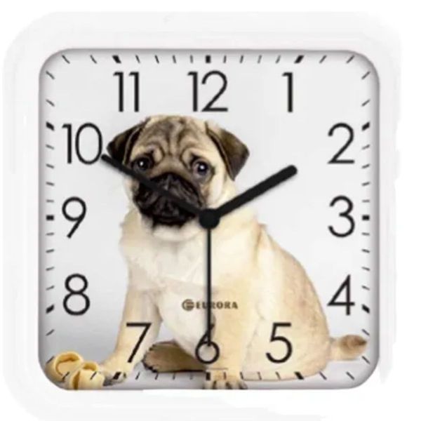 17601232859523 17601232859523