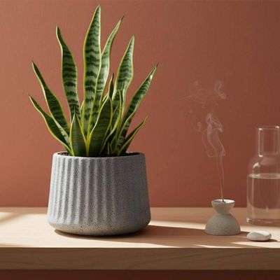 Vaso de Flor Tramontina Lótus 12,5cm Granito Cor Pedra 600ml Suculentas Plantas Pequenas