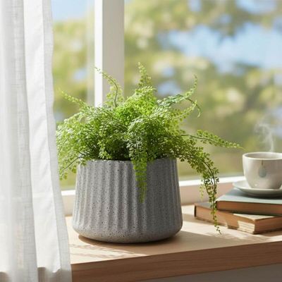 Vaso de Flor Tramontina Lótus 12,5cm Granito Cor Pedra 600ml Suculentas Plantas Pequenas