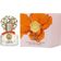 Perfume Feminino Vince Camuto Bella Eau De Parfum 30 Ml