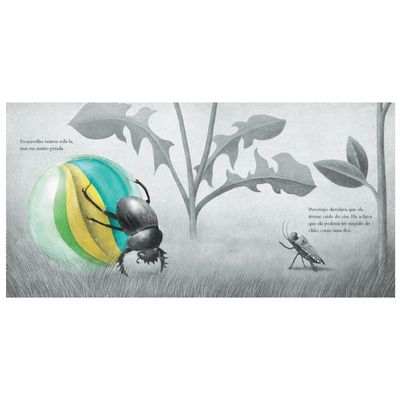 Livro Maravilha do Céu - Terry Fan e Eric Fan - Catapulta