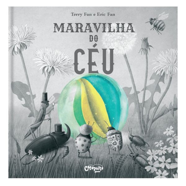 Livro Maravilha do Céu - Terry Fan e Eric Fan - Catapulta