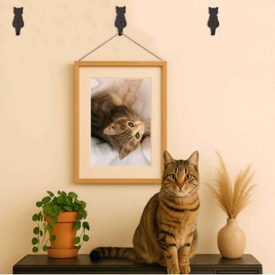 Conjunto 6 Ganchos Gato Preto Aço Pendurador Luft Masutti Enfeite de Parede Roupas Multiuso