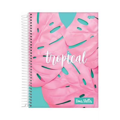 Caderno Universitário Jandaia Espiral Capa Dura Stella 10 Matérias 160 Folhas Capas Diversas