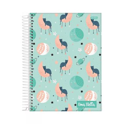 Caderno Universitário Jandaia Espiral Capa Dura Stella 10 Matérias 160 Folhas Capas Diversas