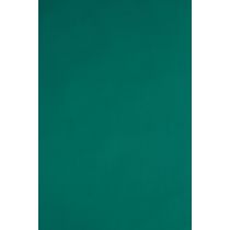 Papel Couchê Reipel Verde Bandeira 50x60cm com 2 Folhas