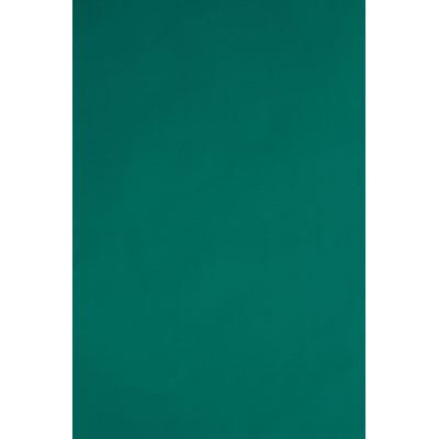 Papel Couchê Reipel Verde Bandeira 50x60cm com 2 Folhas