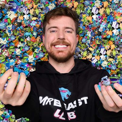 Brinquedo Tubo De Ensaio Com 2 Mini Bonecos Swarms Mrbeast Lab - Candide 4736
