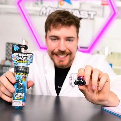 Brinquedo Tubo De Ensaio Com 2 Mini Bonecos Swarms Mrbeast Lab - Candide 4736