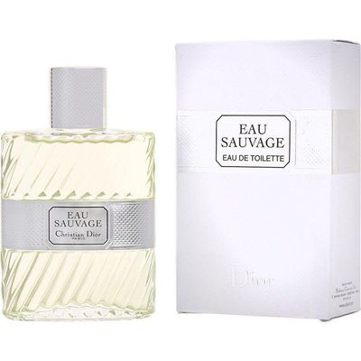 Perfume Masculino Christian Dior Eau Sauvage Edt 100 ml