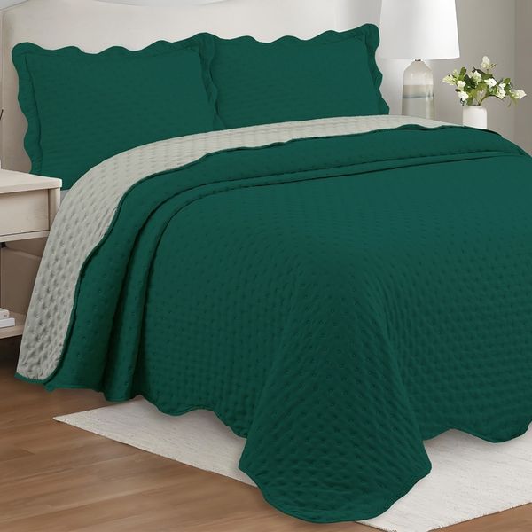 17703877648920 17703877648920