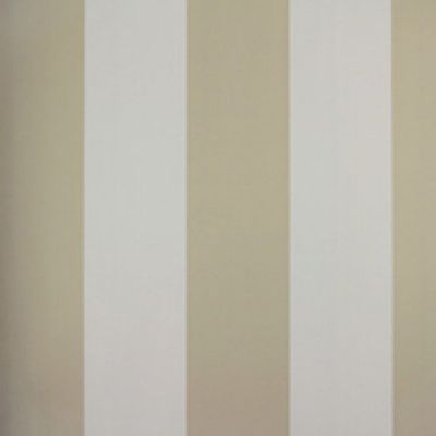 Papel de Parede Listrado Classic Stripes CT889061 Vinílico - Rolo: 10m x 0,53m