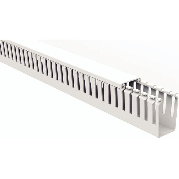 17619449406147 17619449406147