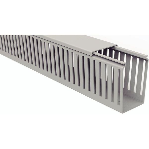 17619449303011 17619449303011