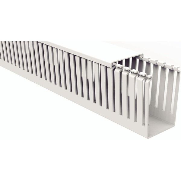 17481265616799 17481265616799