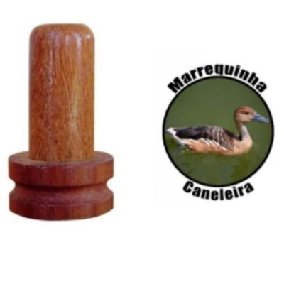 Apito Marrequinha Caneleira Apito Modelo 38 Apito Profissional
