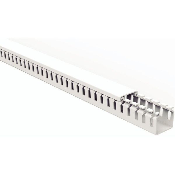 17616229725590 17616229725590