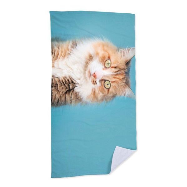 17664152928246 17664152928246