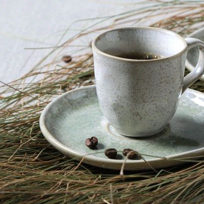 Conjunto De Xícara De Cafezinho Com Pires 06 Peças Bio Moss Porto Brasil
