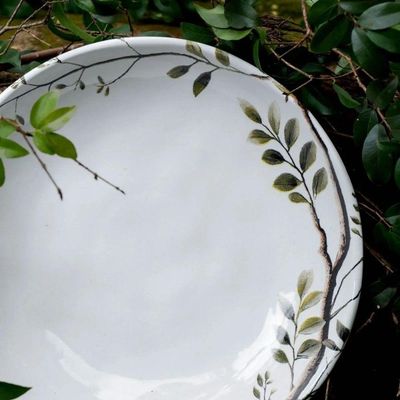 Conjunto De Pratos Fundos 06 Peças Bio Birdy Porto Brasil