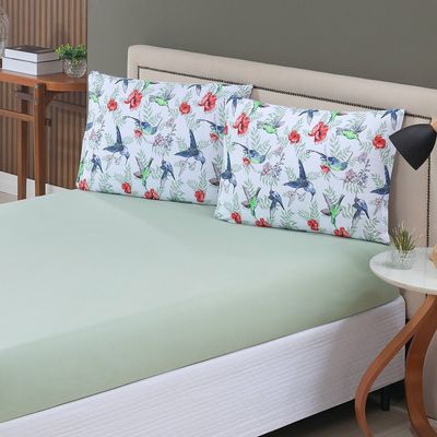 Jogo de Cama Lençol Sonho Bom Solteiro em Malha Algodão 2 Peças - Verde - 100% Algodão