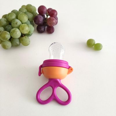 Chupeta Alimentação Porta Frutinha Bebês Buba
