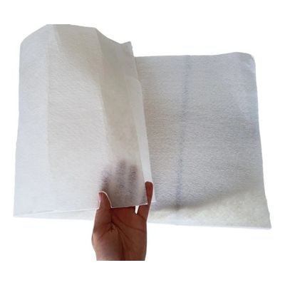 Kit 2 Mantas Filtrantes Depurador 60cm Colomarq  350x560mm
