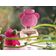 Moschino Toy 2 Bubble Gum Eau De Toilette  Perfume Feminino 50ml importado 50ml / Incolor