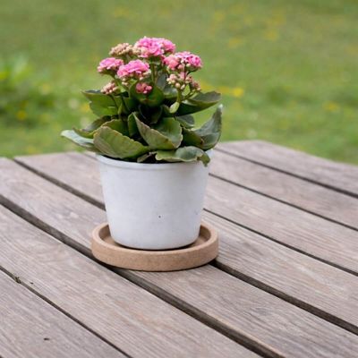 Kit 2 Pratos Pequenos para Vaso de Flor Tramontina Plástico Reciclável Granito Areia Jardim