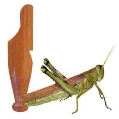 Apito Inhambu Açu Modelo 03 + Apito Profissional Grilo