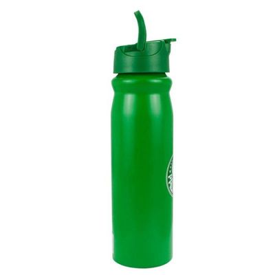 Garrafa Alumínio Com Canudo Palmeiras 650ml Oficial