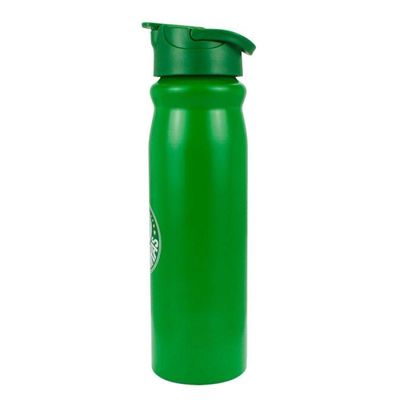 Garrafa Alumínio Com Canudo Palmeiras 650ml Oficial