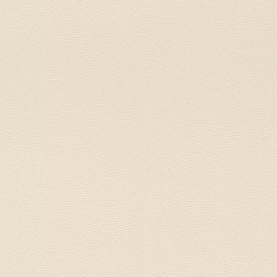Papel de Parede African Queen III Couro Bege 752625