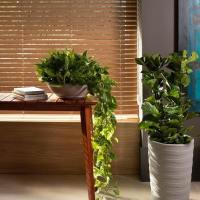 Kit 2 Vasos para Plantas em Plástico Tramontina Indi Granito Areia Flores Folhagens Suculentas