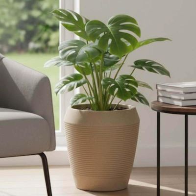 Kit 2 Vasos Egípcios para Plantas Plástico Tramontina 29cm Granito Areia Jardim Flores Folhagem