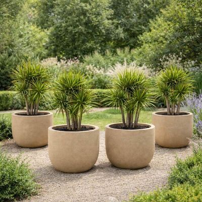 Kit 4 Vasos para Folhagens Plantas Laos Tramontina Plástico Areia Decorativo Jardim Casa
