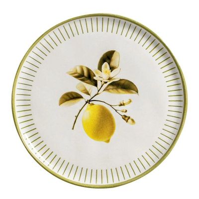 Conjunto De Pratos Rasos 06 Peças Bio Lemon Porto Brasil