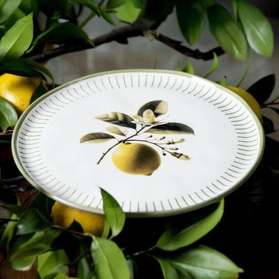 Conjunto De Pratos Rasos 06 Peças Bio Lemon Porto Brasil
