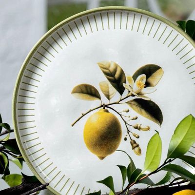 Conjunto De Pratos Rasos 06 Peças Bio Lemon Porto Brasil