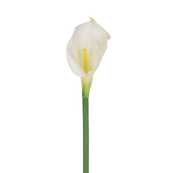 Haste Copo de Leite Grillo Silicone Creme Haste Copo de Leite Grillo Silicone Creme