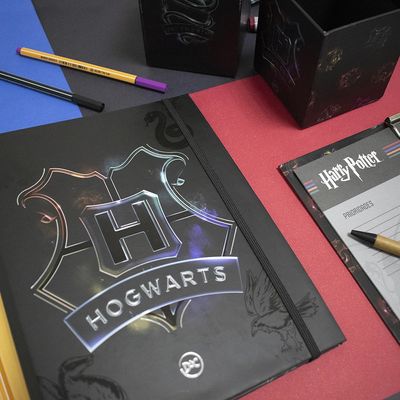 Caderno College Argolado Dac Harry Potter 48 Folhas