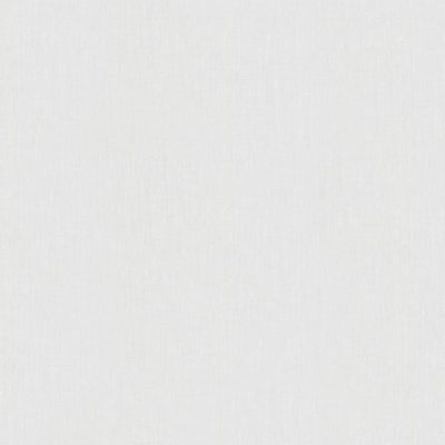 Papel de Parede New Textures Textura Branco NT33325