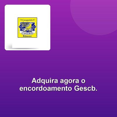 Encordoamento Cavaco Bolinha Gescb