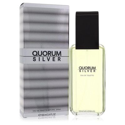 Perfume Masculino Quorum Silver Puig 100 Ml Eau De Toilette