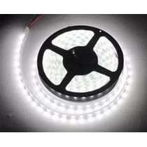 Kit 10 Fita Led Rolo 5m 5050 Branco Frio A Prova D'agua